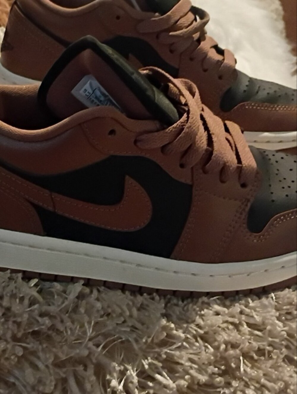 Jordan Low-Top Sneakers in Brown and Black